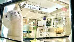 โรงแรมเอบีซีวายคิว, THB 1,500.00